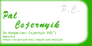 pal csjernyik business card